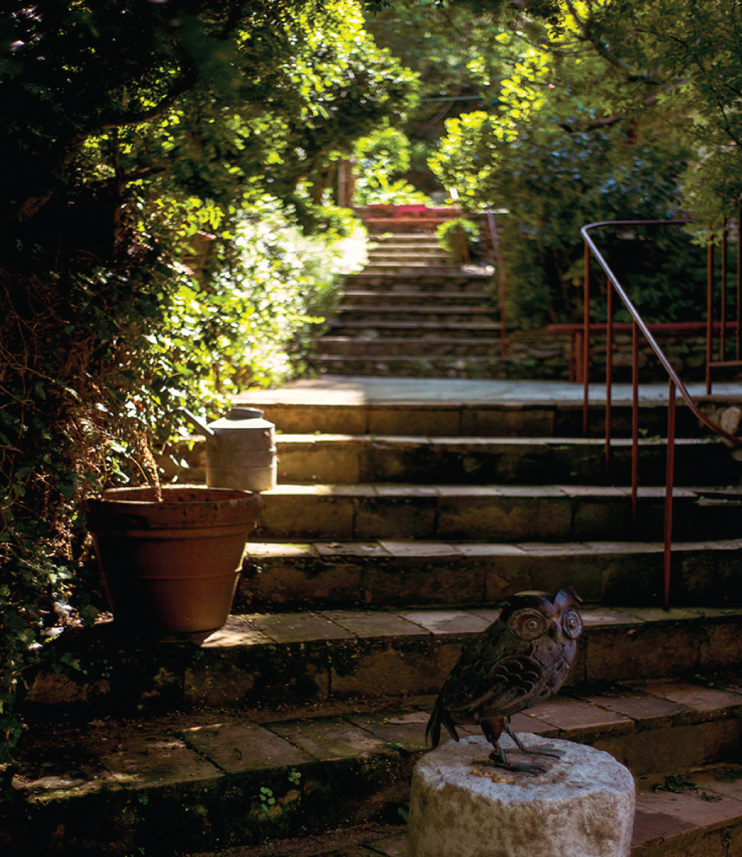 gite le vigan cévennes