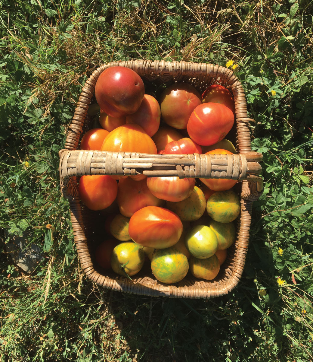 gite le vigan cévennes