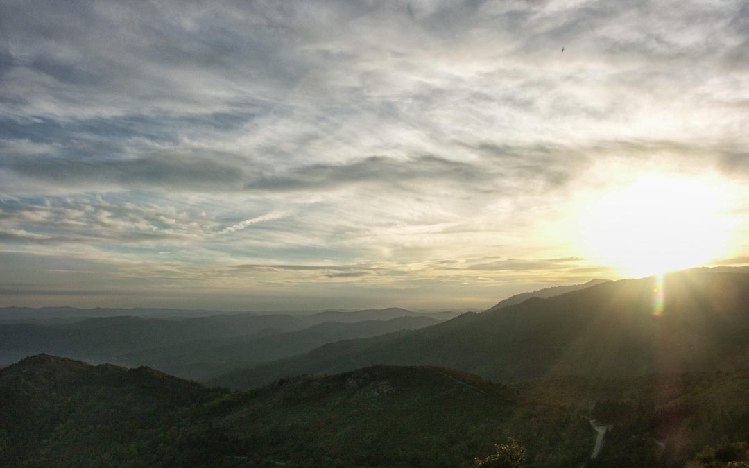 Découvrir la région