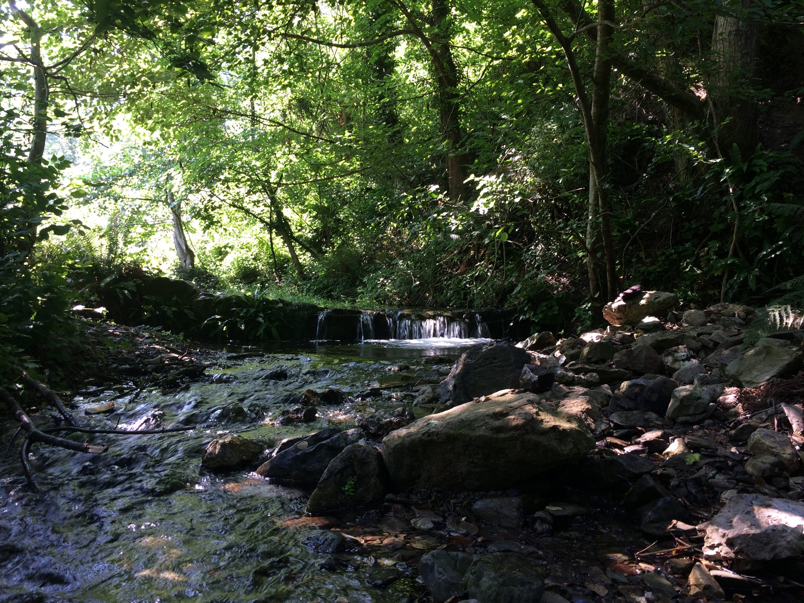 gites de groupe cévennes