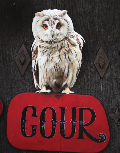 gites de groupe cévennes