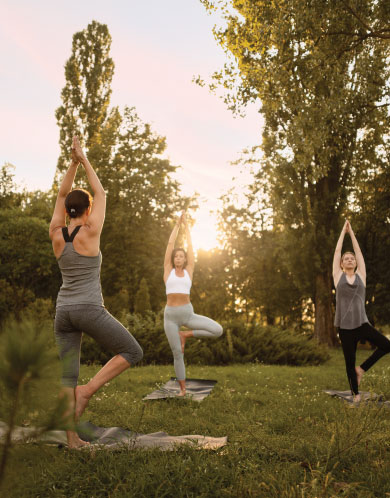 gites de groupe cévennes