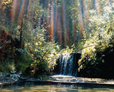 gite piscine cévennes