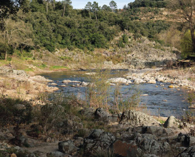 gite piscine cévennes