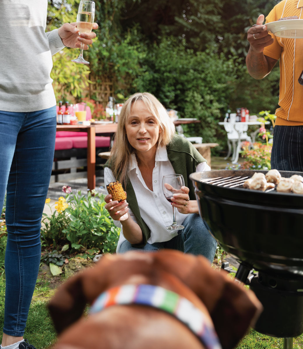 location vacances cévennes avec piscine