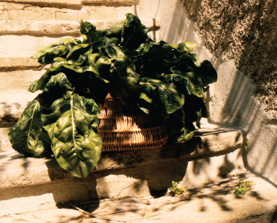 location vacances cévennes