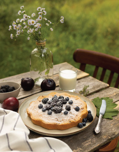 location vacances les cévennes