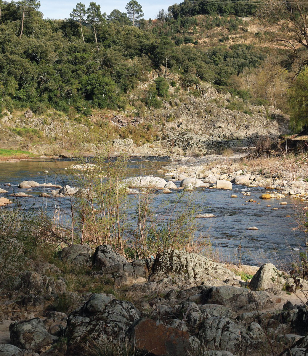 cévennes gite de charme