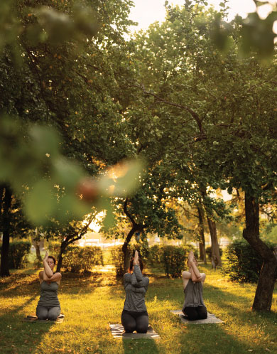 gite séminaire team building cévennes