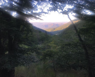 cévennes gite de charme