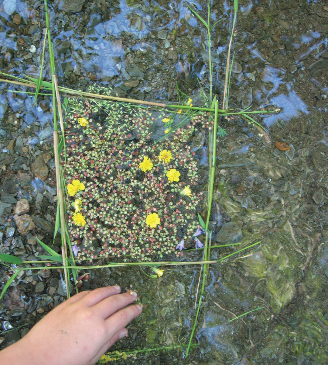 gite de groupe cévennes