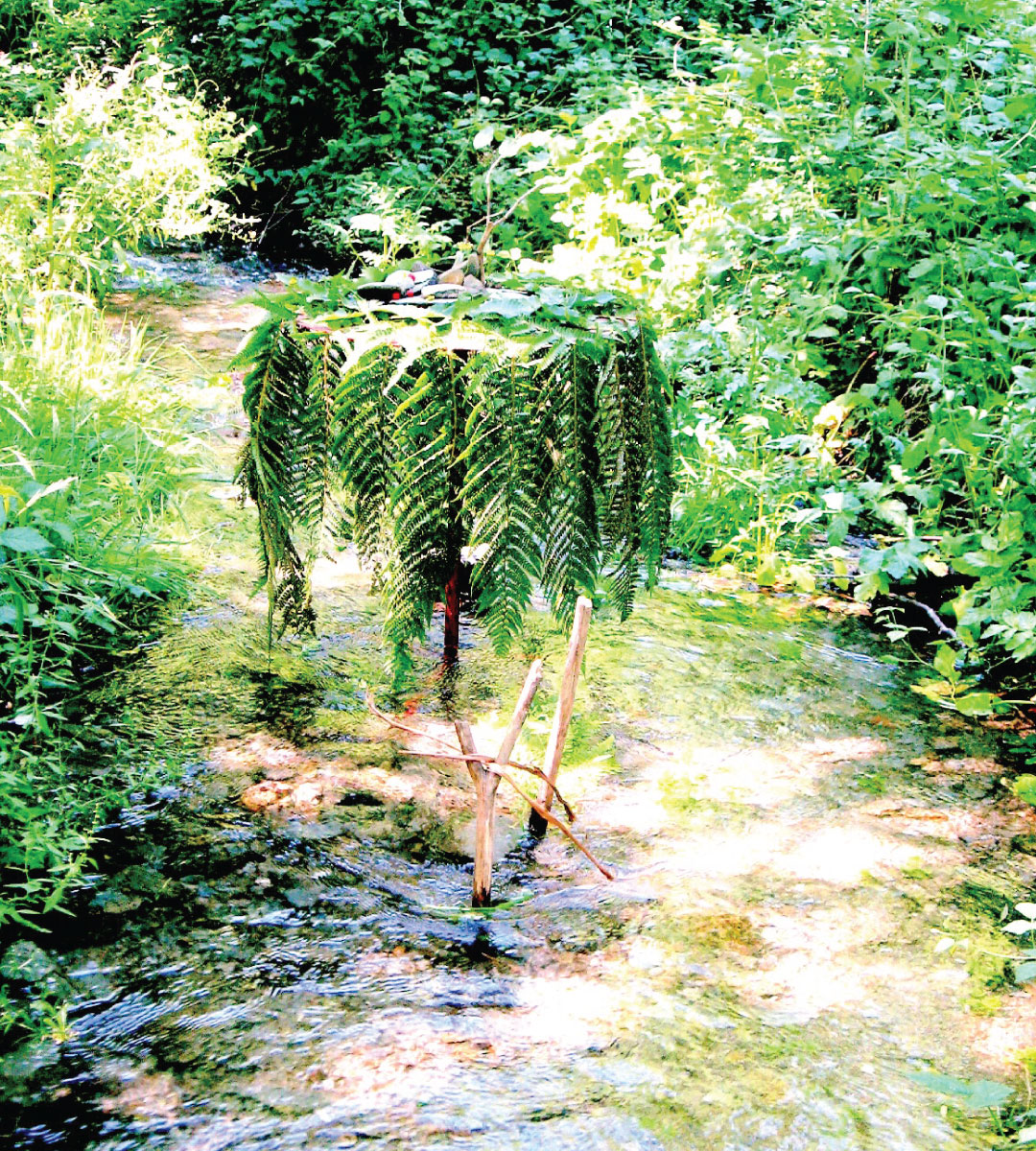 grands gites cévennes