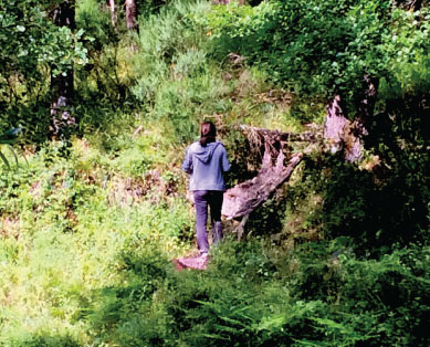 grands gites cévennes