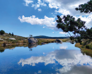location gite cévennes